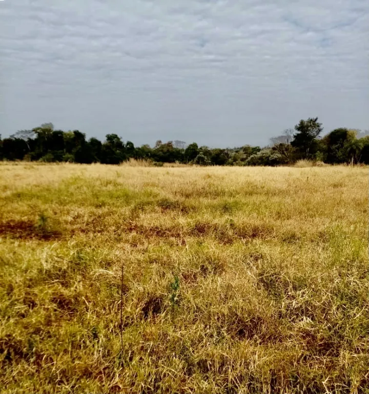 3 HA. DE CAMPO EN CAMBYRETA - Bº SAN BLAS INDEPENDENCIA — foto 3
