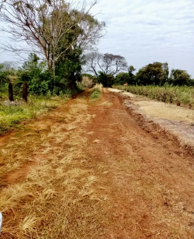 4 HA. DE CAMPO EN Bº SAN BLAS - CAMBYRETA - ITAPUA — foto 3