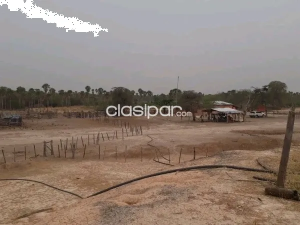 VENDO ESTANCIA EN ALTO PARAGUAY-FORTIN FLORIDA, 1500HAS — foto 2