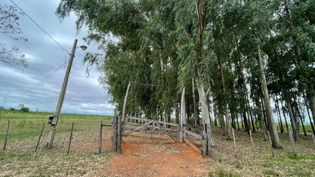 Oportunidad en 1ro de Marzo en venta 30 hectáreas — foto 3