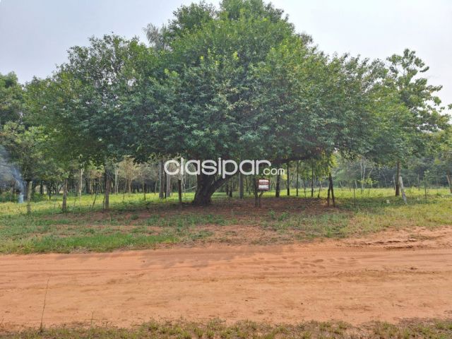 VENDO TRES TERRENOS JUNTOS EN CAACUPE, YTUMI