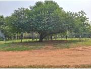 VENDO TRES TERRENOS JUNTOS EN CAACUPE, YTUMI