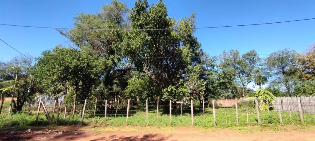 TERRENO DE 1600m2 de CALLE A CALLE ZONA PINEDO — foto 3