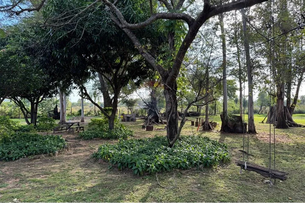 PROPIETARIO VENDE HERMOSA CASA QUINTA EN YPACARAÍ — foto 3