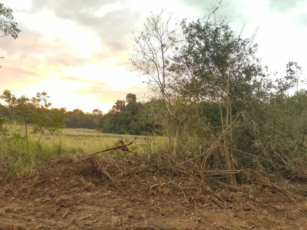 En Venta terreno en Fram Itapúa — foto 2
