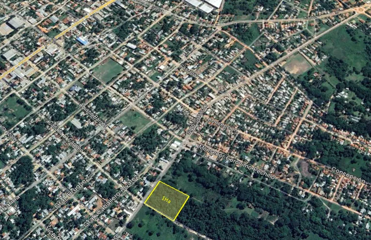 Vendo terreno de 1Ha en Coronel Oviedo — foto 2