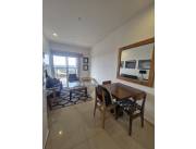 Alquilo departamento amoblado de 1 dormitorio en zona Santa Teresa COD A0700
