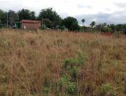 Vendo 3 Terrenos de 12x30 m2 en Ypacarai juntos o por separado a 3 cuadras de la ruta