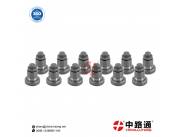 Injection Pump Delivery Valves YTM5-1111220