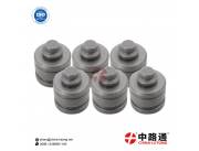 Injection Pump Delivery Valves FZ80P8021112