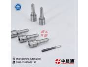 Diesel Injector Nozzles L015CVA Diesel Injector Nozzles L02-319