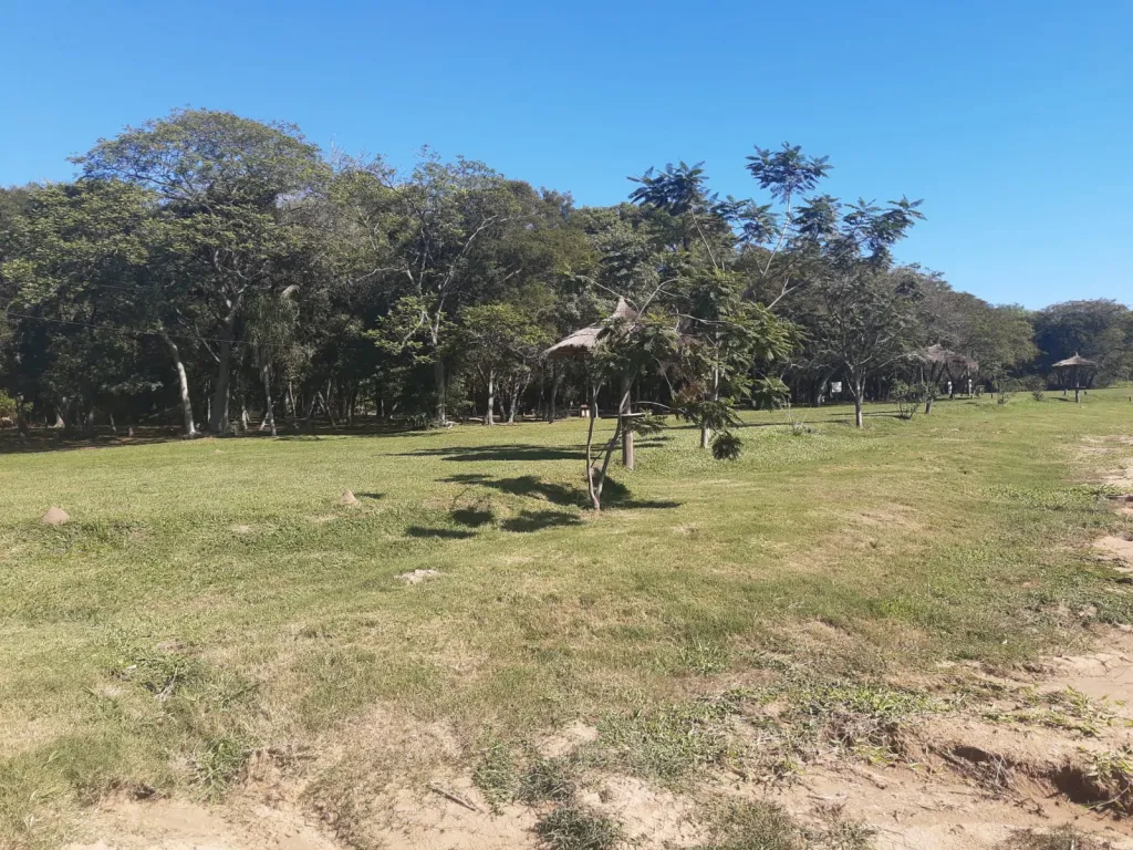 terreno en Barrio Cerrado Costa Lago Ypacarai — foto 2