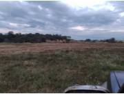 EN VENTA PROPIEDAD AGRICOLA EN FRAM ITAPUA ID 37343