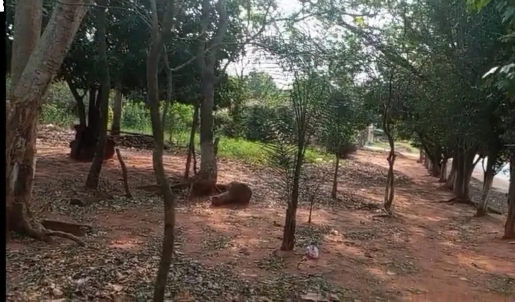 TERRENO EN ZONA DE CECIMIENTO EN CAPIATA — foto 3