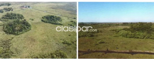 VENDO TERRENO 148 ha, en Juan De Mena, Cordillera — foto 2