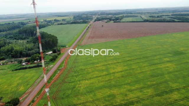 Vendo 60 has. s/Ruta 6 Tavapy – Alto Parana