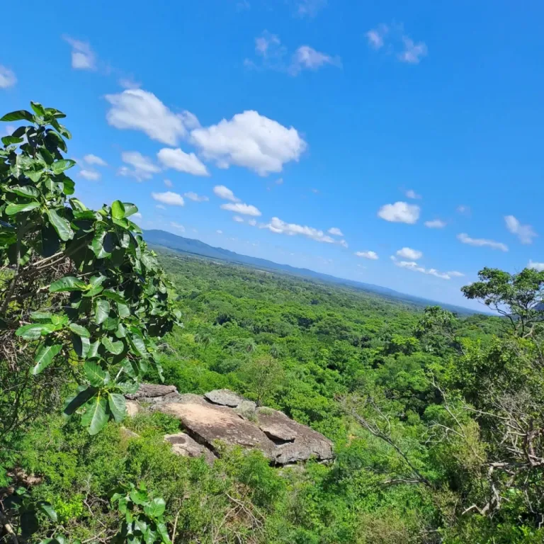 Mirador Las Colinas 3 Hectareas en Paraguari — foto 2