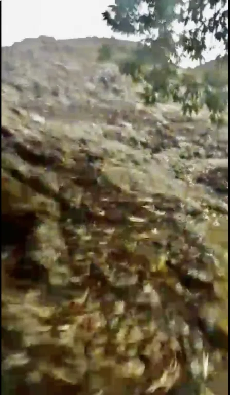 AMPLIO TERRENO CON CASA EN TOBATI - Bº SAN MIGUEL — foto 3