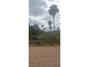 TERRENOS