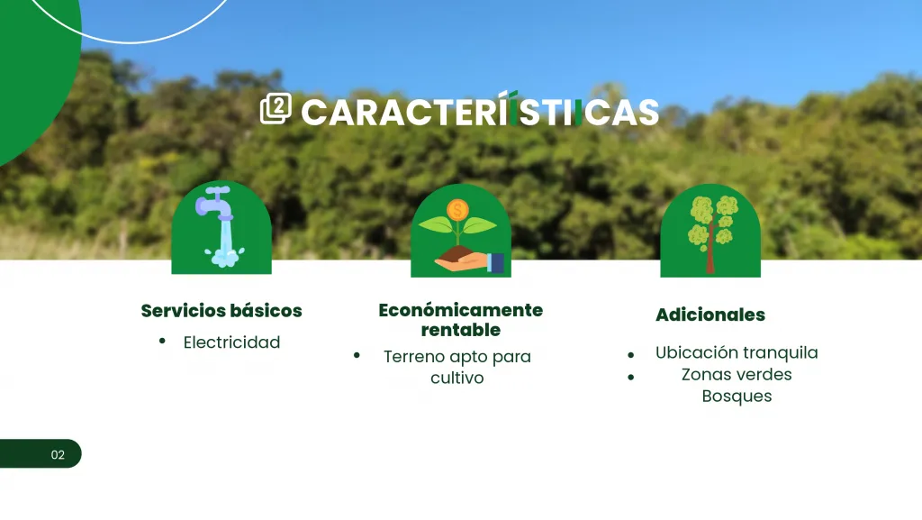TERRENO DE 10 HECTAREAS EN PARAGUARI!! — foto 3