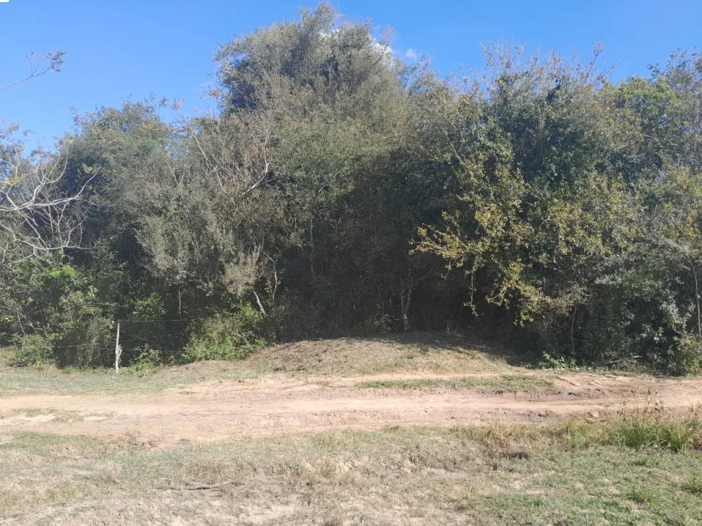 Oportunidad en Villarrica — foto 3