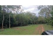 SAN JOSE DE LOS ARROYOS, CAAGUAZÚ: BELLEZA! 20 HAS, GRANJA FORMADA EN FUNCIONAMIENTO.