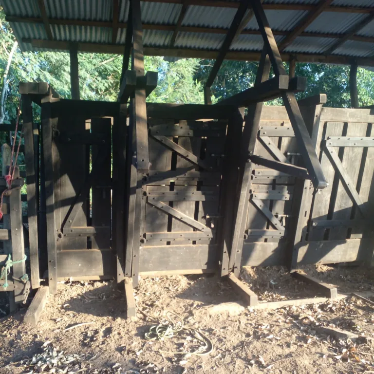 SAN JOSE DE LOS ARROYOS, CAAGUAZÚ: 50 HAS, S RUTA, ESTABLECIMIENTO DESARROLLADO, ALAMBRAD — foto 3