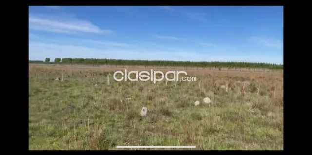 SAN JOSE DE LOS ARROYOS, CAAGUAZÚ: 140 HAS S ASFALTO, EXPLOTACIÓN MIXTA RURAL. — foto 2