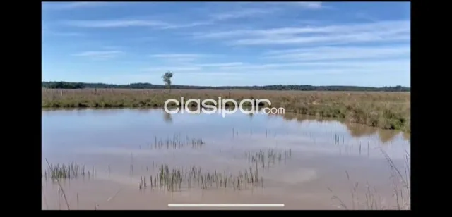 SAN JOSE DE LOS ARROYOS, CAAGUAZÚ: 140 HAS S ASFALTO, EXPLOTACIÓN MIXTA RURAL. — foto 3