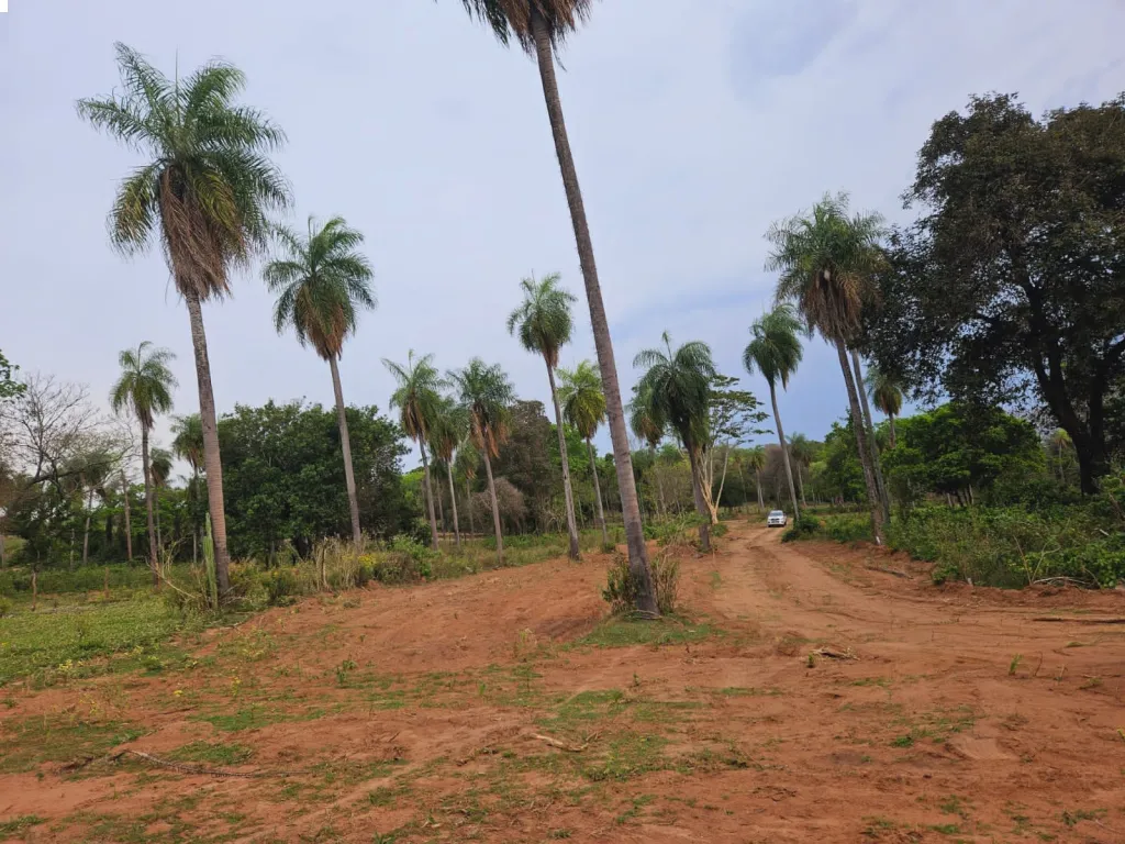 Terreno Emboscada — foto 2
