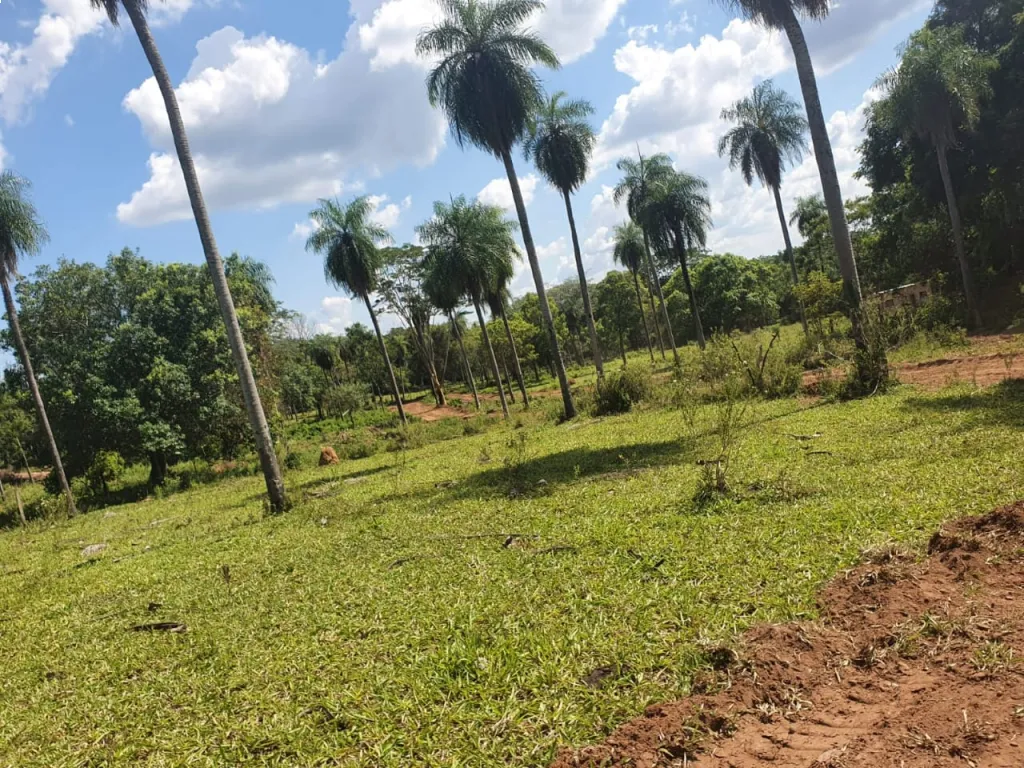 Terreno Emboscada — foto 3
