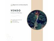 VENDO PROPIEDAD EN VILLA ELISA IDEAL PARA LOGISTICA 6.500 METROS