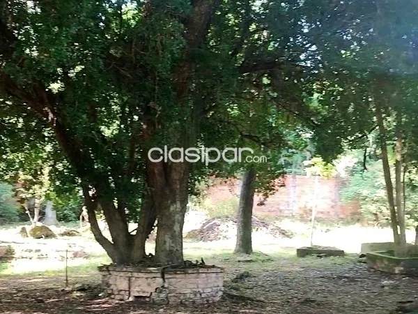 VENDO TERRENO EN EL CENTRO DE ITACURUBI DE LA CORDILLERA — foto 3