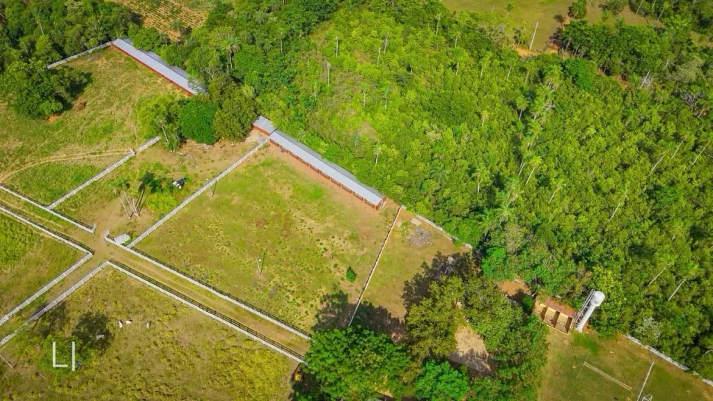 SOÑADA PROPIEDAD EN ITACURUBI DE LA CORDILLERA — foto 3