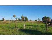 Terreno en Villa Hayes