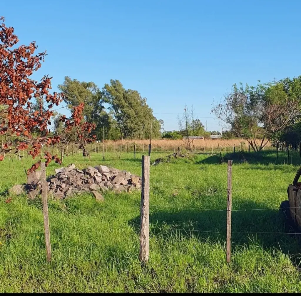 Terreno en Villa Hayes — foto 3