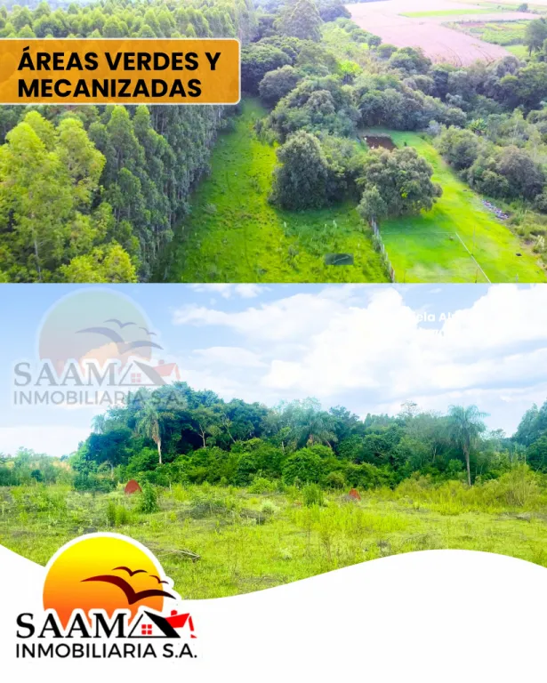3,5 HECTÁREAS EN VENTA- MINGA GUAZÚ – KM 22 MONDAY — foto 3