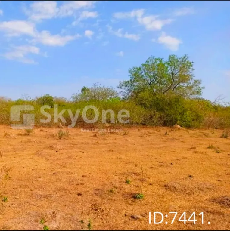 VENDO TERRENO UBICADO EN ARROYOS Y ESTEROS. — foto 3
