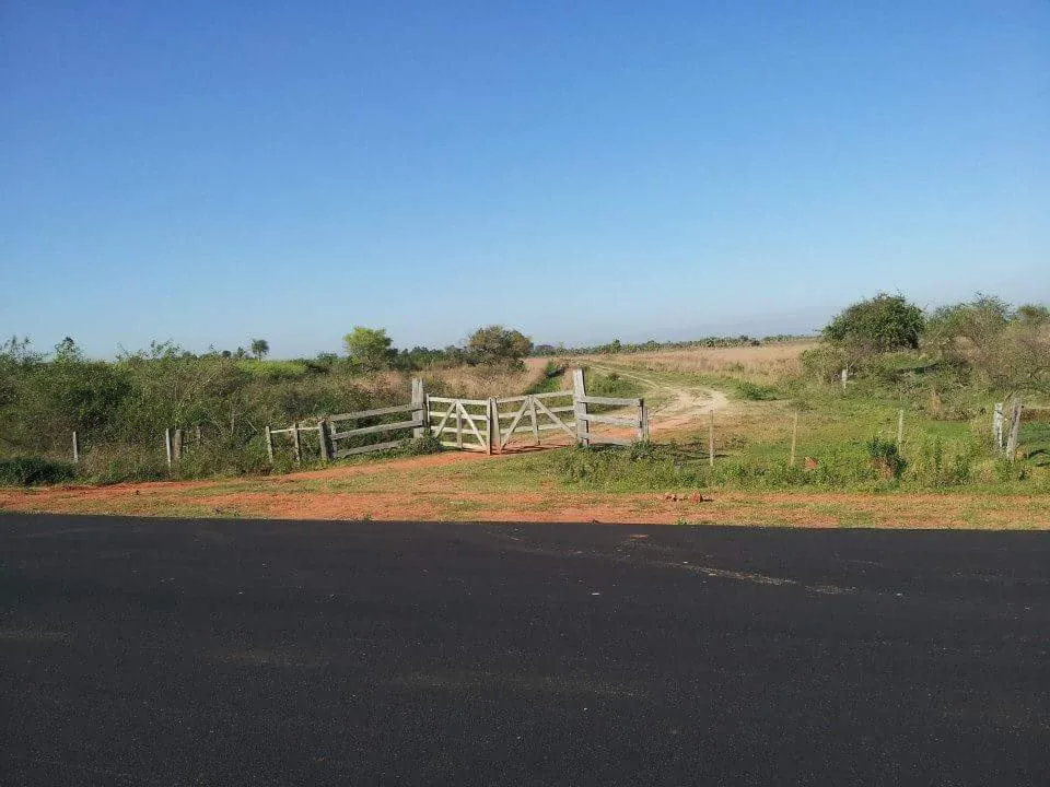 VENDO CAMPO de 422 HAS, SOBRE ASFALTO — foto 3