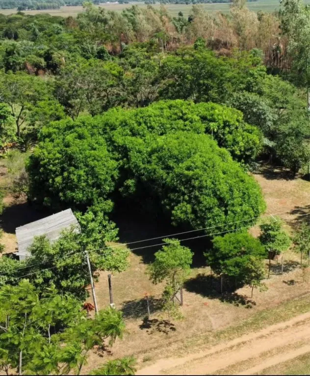 Terreno en venta en Mbocayaty del Guairá — foto 3