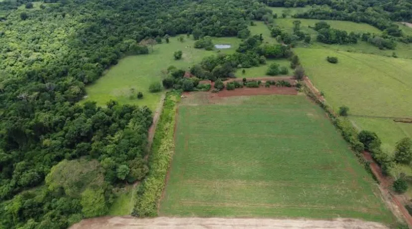 Campo AgrícolaGanadero en Carmen del Paraná - 57 Ha. — foto 2