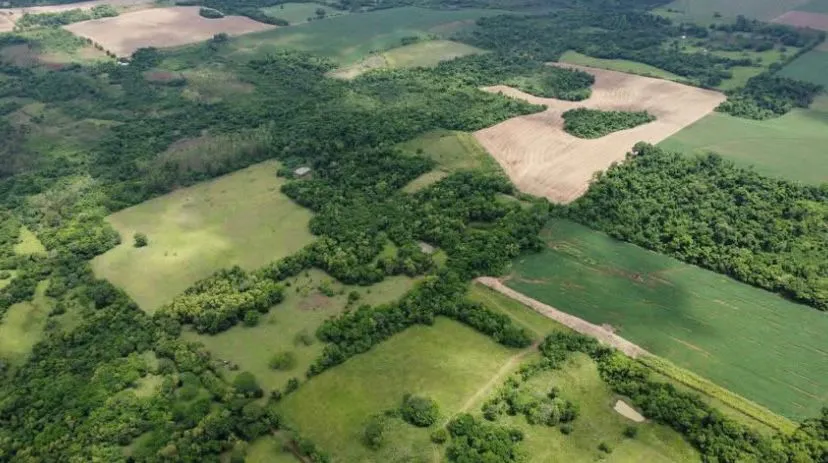 Campo AgrícolaGanadero en Carmen del Paraná - 57 Ha. — foto 3