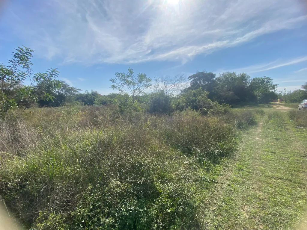 TERRENO - VENTA - PARAGUAY CENTRAL LUQUE — foto 3