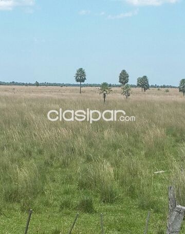 VENDO hermoso campo de 422 has