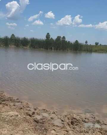 VENDO hermoso campo de 422 has — foto 2