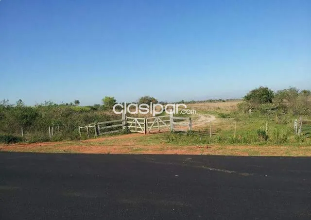 VENDO hermoso campo de 422 has — foto 3