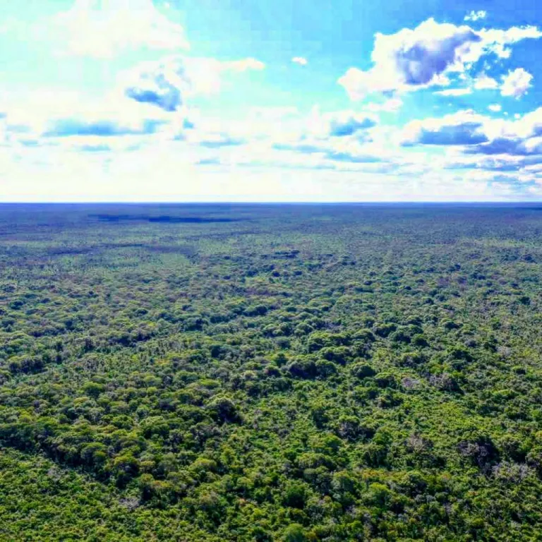 AGUA DULCE, BAHÍA NEGRA, CHACO: OFERTA! PROX. FILADELFIA, ABUNDANTE AGUAS SUBTERRÁNEAS. — foto 2