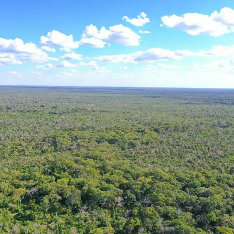 AGUA DULCE, BAHÍA NEGRA, CHACO: OFERTA! PROX. FILADELFIA, ABUNDANTE AGUAS SUBTERRÁNEAS. — foto 3