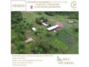 En Caapucu a 5 Km de ruta 1 . Estancia Formada 558 hectareas