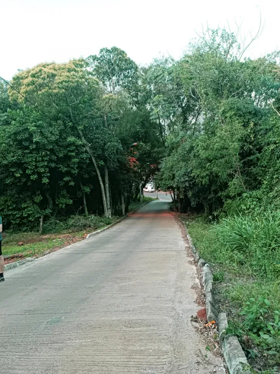 Oferta Terreno en Boquerón 2 CDE — foto 2